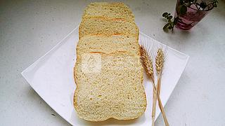 东菱无糖面包机试用,东菱面包机无油无糖全麦面包教程