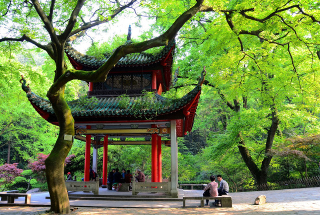 最新长沙旅游推荐,去长沙旅游必去的景点有哪些