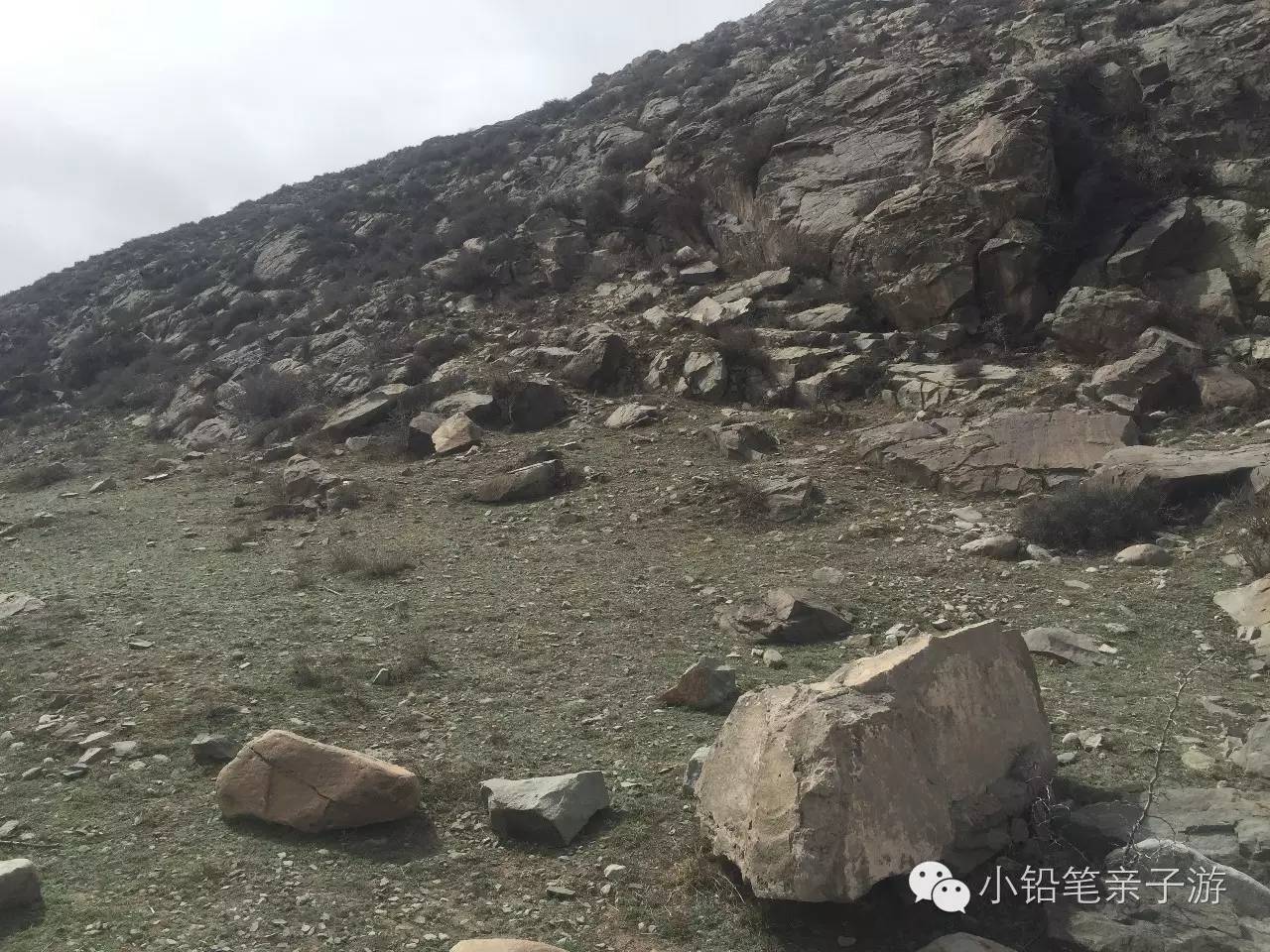 爸爸去哪儿宁夏沙坡头片段,爸爸去哪儿宁夏沙坡头