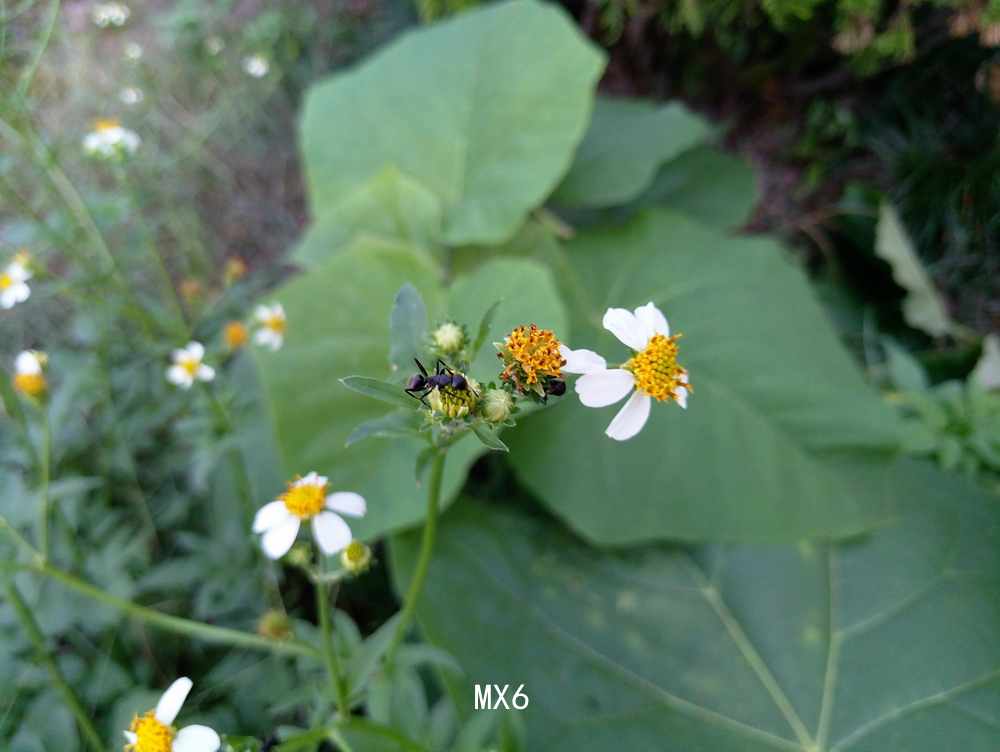 定位尴尬之余还剩下些什么？魅族MX6体验测评