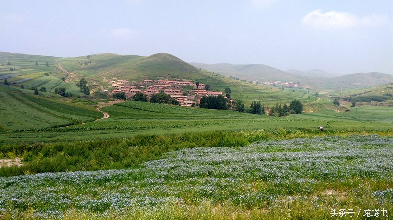 荣耀畅玩5a最大亮点,荣耀畅玩5a自带功能