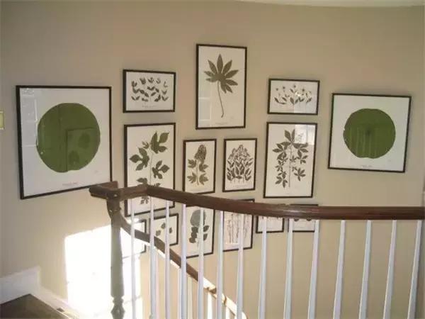 绿植盆栽都扔了,家里再穷也要丢掉的绿植