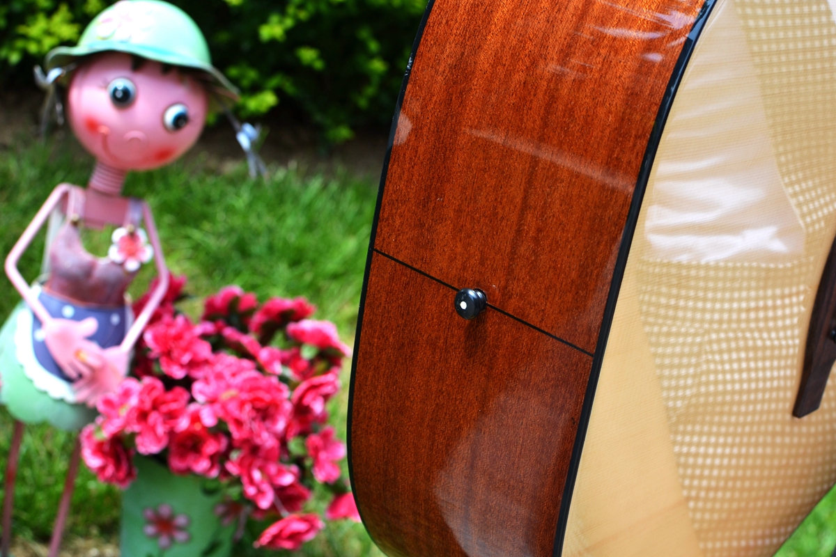 有声有色，久弹不累：乐果D10，吉他初学者的明智之选