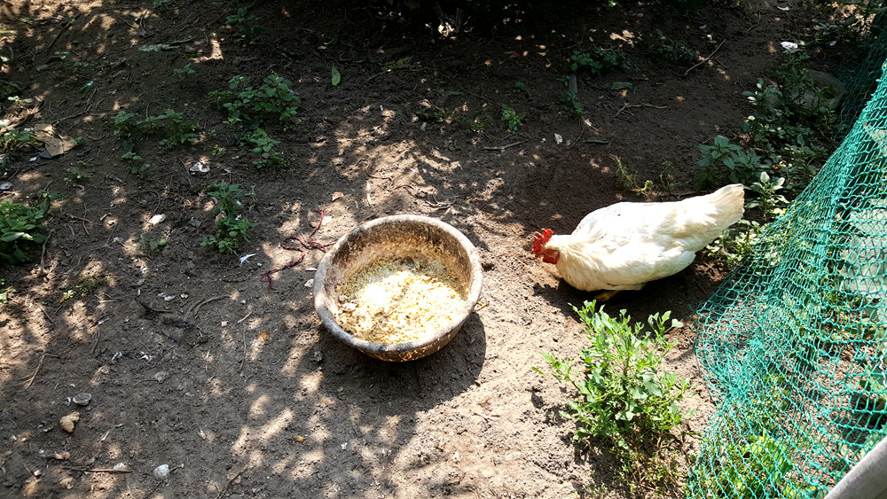 乐亭碧海渔家,乐亭碧海渔家怎么样