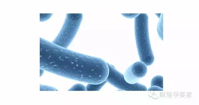 宝宝腹泻湿疹吃哪种益生菌,婴儿湿疹每天也拉大便吃益生菌