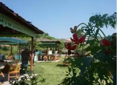 牧云溪谷看房,牧云溪谷看房免费接送