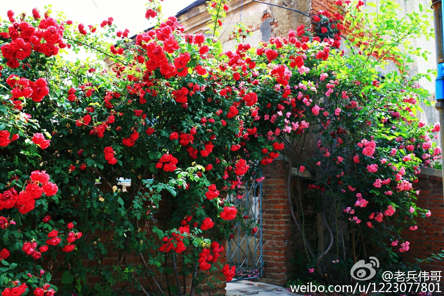 大连旅顺口好吗,旅顺值得住一晚吗