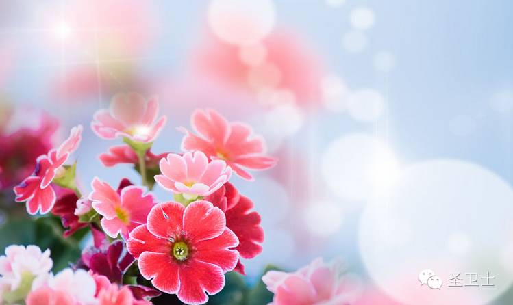 肾衰竭的人皮肤会怎样,肾衰竭皮肤脱皮怎么回事