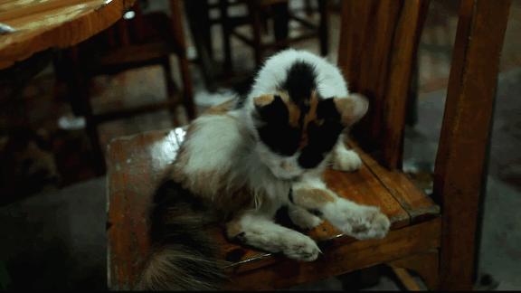 唔使搵啦！人均40元连电视台著名主持人都Hold唔住过来搵食