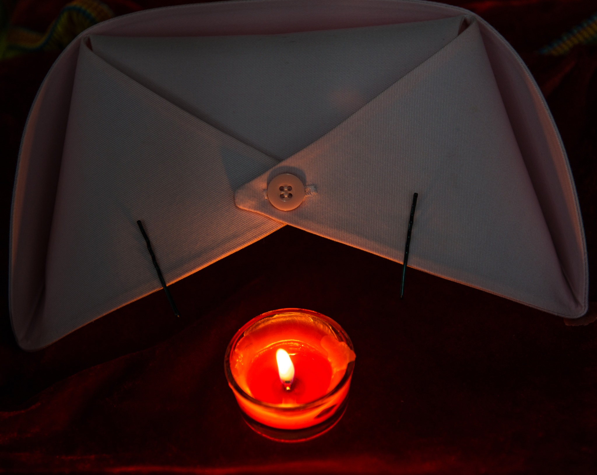 摄影大赛这个小东西救人治病无数，外国人却当做“奇葩”！（作品展示42期）