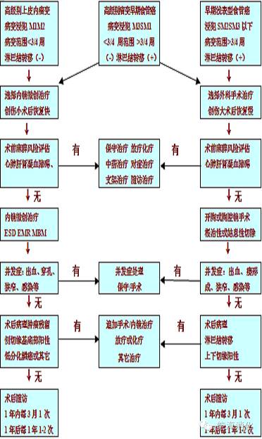 食管高级别上皮内瘤变选择治疗流程