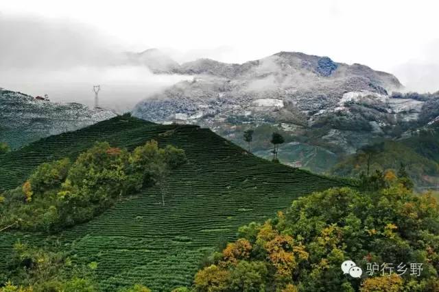 琛屾憚姹変腑,琛屾憚闄曡タ