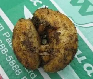 太极集团药物风险事件,太极集团的药是真的吗