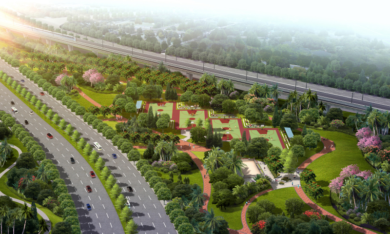 西湾红树林湿地公园滨海长廊,黄岛红树林滨海公园