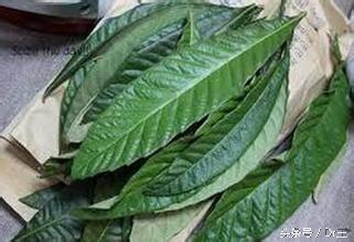 治感冒喉咙痛的偏方,治感冒喉咙疼的民间偏方小妙招