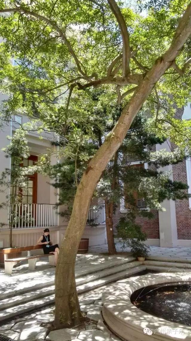 去香港去哪些地方购物,去香港旅游购物哪里好一点