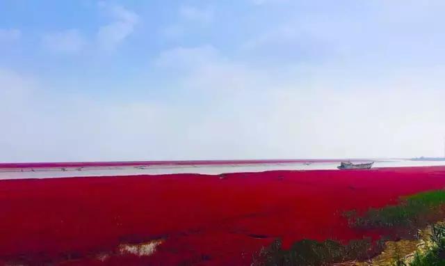 盘锦免费一日旅游景点推荐一下,盘锦旅游攻略必去景点