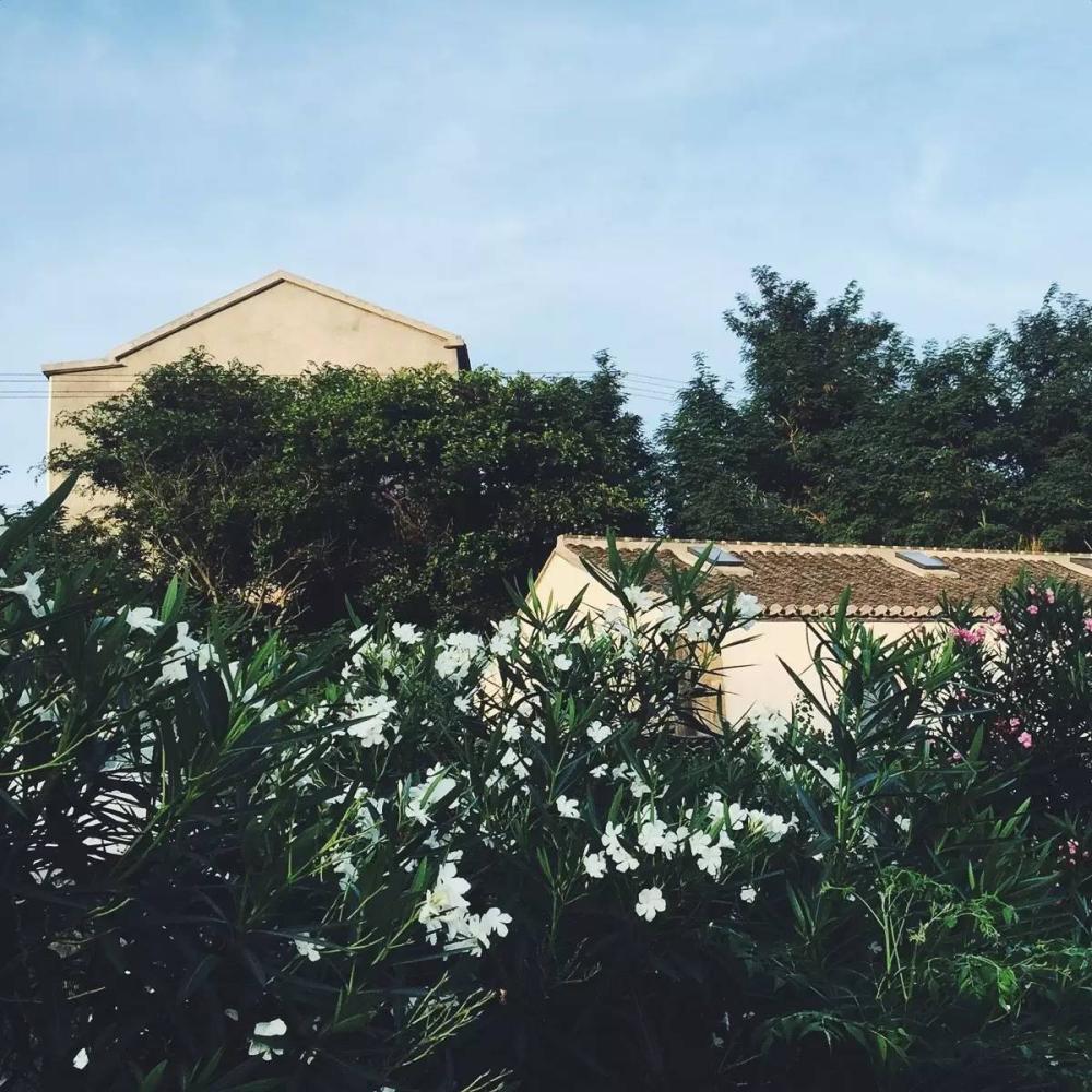 中国日落绝美小渔村,五一旅游小渔村日落