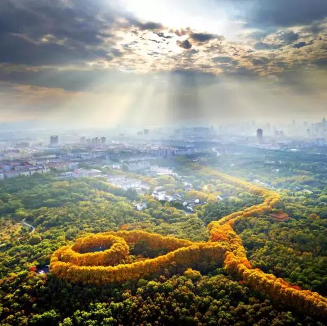 天津河西买房,南京河西买房的家庭