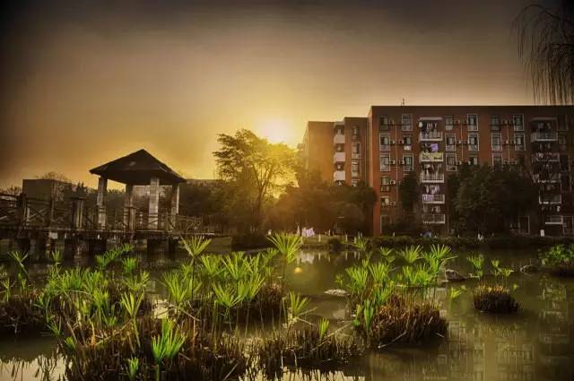 西南大学绝美风景,薇视觉