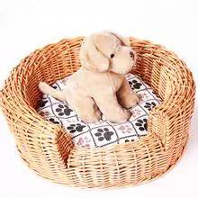 狗狗领回家多久可以训练呢,狗狗新手上路请多关照