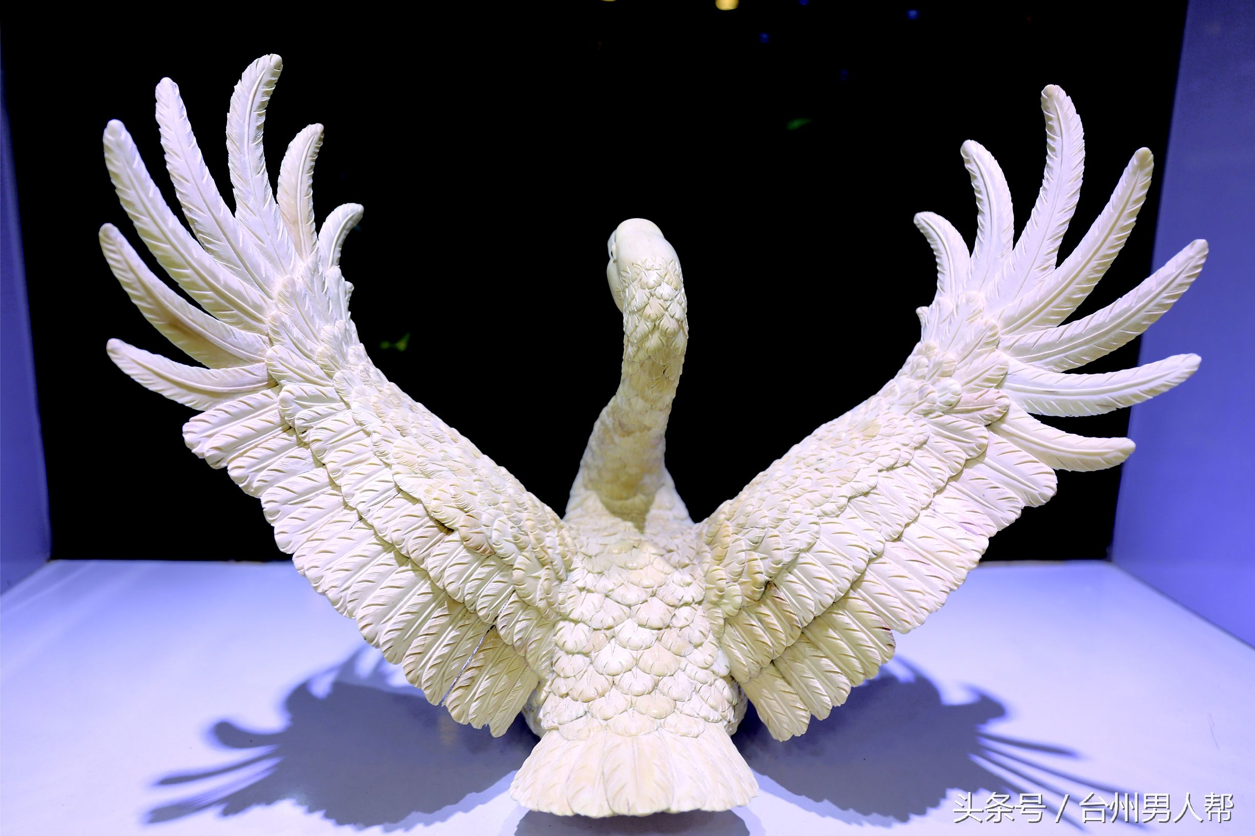 冰封数万年的猛犸象,藏传老猛犸象牙