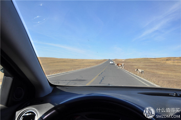 冬季自驾游阿里的攻略,兴安自驾游一日游路线攻略