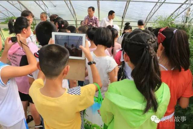 神奇大观园——农场变形记