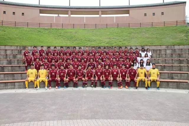 长城杯古典金龙,长城杯视频