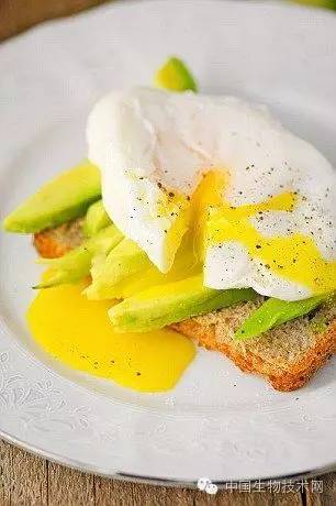 牛油果绿优点,牛油果的优点