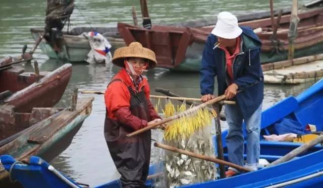 不需要签证的最美海岛,最美海岛免签的地方