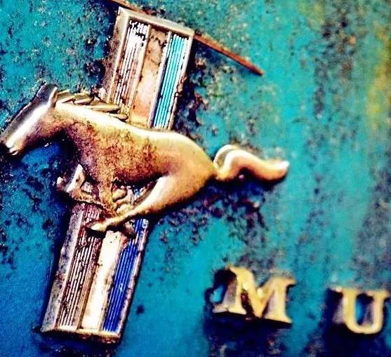 夏威夷旅游有必要租车,夏威夷旅游租车攻略