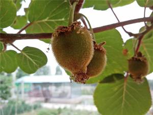 是否能够畅快用两天?360手机N4S全面评测!