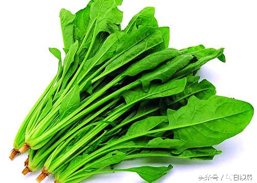 高血脂高血压禁忌食物一览表,哪些食物可以降低高血压