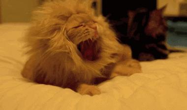 西甲球队巡礼,西甲新赛季分析