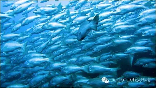 机器人世界杯20周年，复杂系统如何应对突发情况？