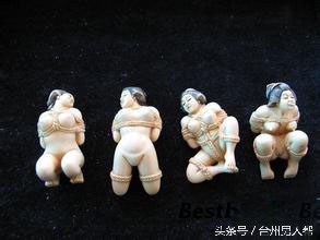 冰封数万年的猛犸象,藏传老猛犸象牙