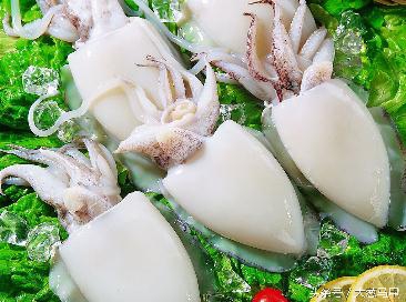 肤白貌美的墨鱼仔，原来是秦始皇的宠爱！