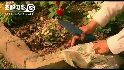 图解—《恋空》爱情的最初愿望是如此单纯