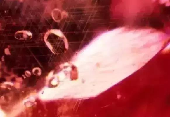 全世界最大最好看的珍珠,世界上最美的彩色宝石珍珠