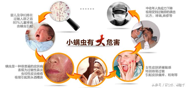 去除被褥螨虫的有效方法,棉被螨虫怎么去除简单方法