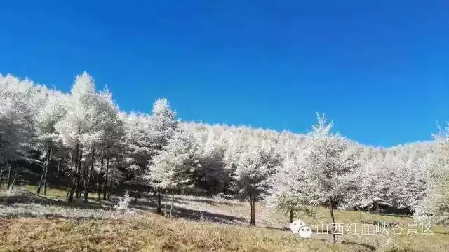 灵石红崖峡评价,灵石红崖峡牛角