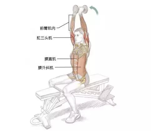 手臂力量对足球运动员有什么好处,手臂训练的重要性