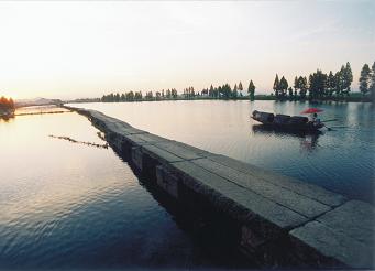 最佳养生酒,适合微醺的养生酒