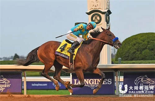 浪琴赛马,浪琴表国际马术大奖赛