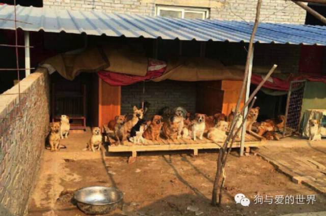 他们是最可爱的人作文350字 (他们是最可爱的人作文)