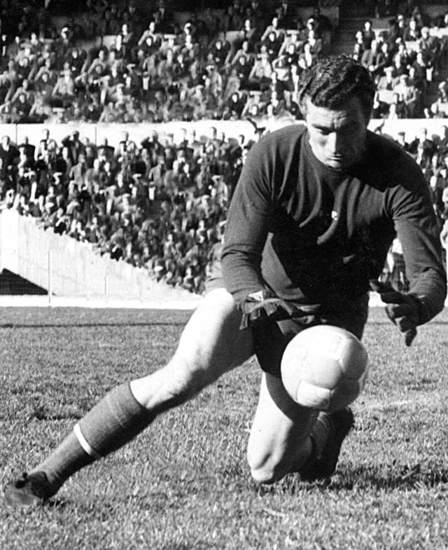 glove门将手套,关于手套glove的故事