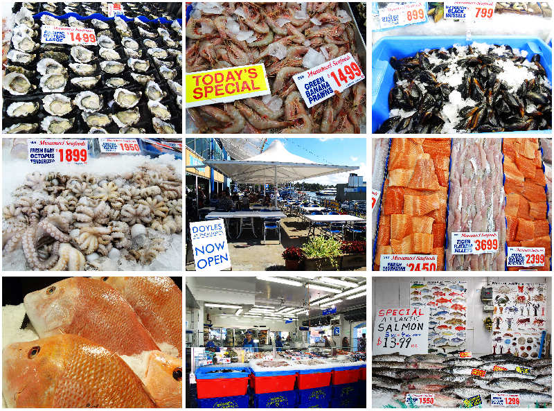 悉尼是啥味道,悉尼盐蚝