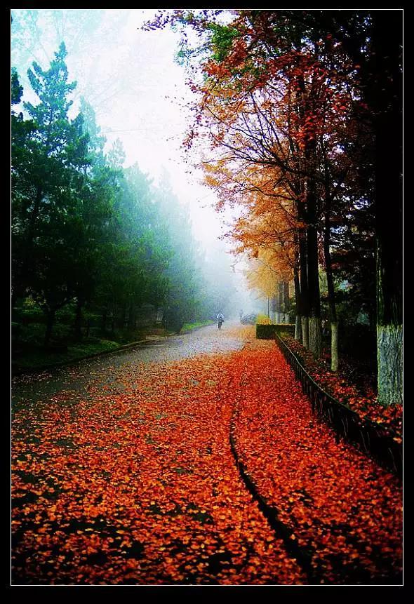 京大学院,京大中文系