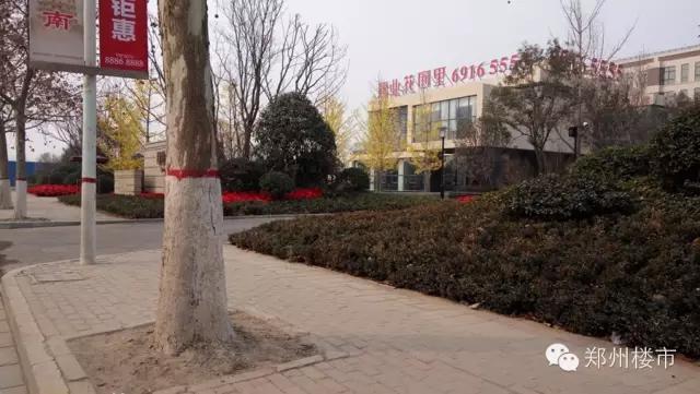 金科最新土拍价,金科土拍